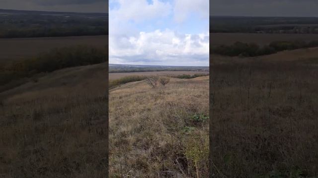 красота смотреть онлайн