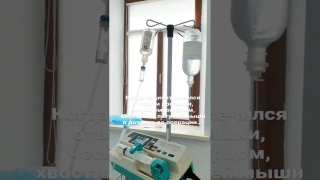 ВОТ ЧТО БЫВАЕТ, КОГДА ЛЕЧИШЬСЯ ПО ИНТЕРНЕТУ смотреть онлайн