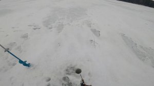 Тихая радость Глухозимье ! Суйсарь