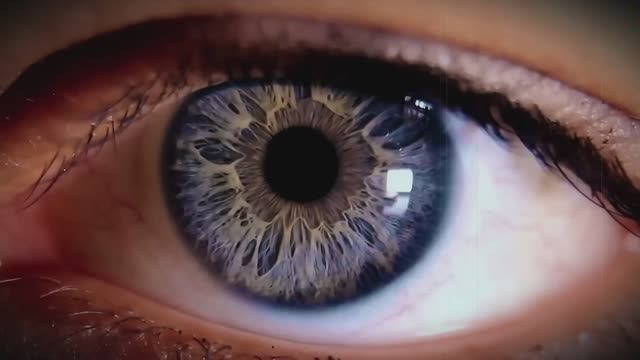 Perception - Pleroma