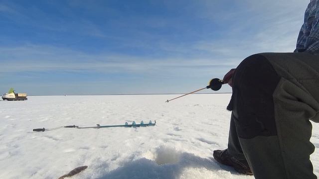 Рыбалка . Ловим окуня зимой на блесну. Пробую соблазнить сонного окуня днем вкусной блесной. смотреть онлайн