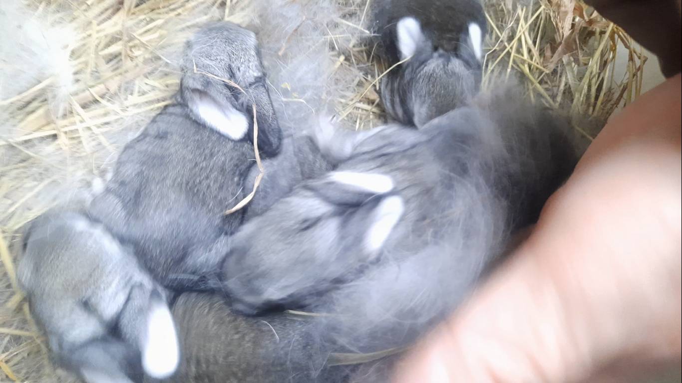 Подождите дети - мама сейчас занята