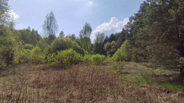 Коп. Металлокоп.