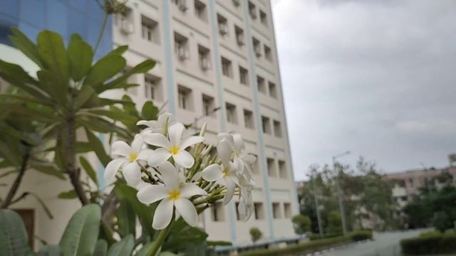 Me One Night Before The Exam|| nit warangal || hostel || Vlog # 85 || #nit смотреть онлайн