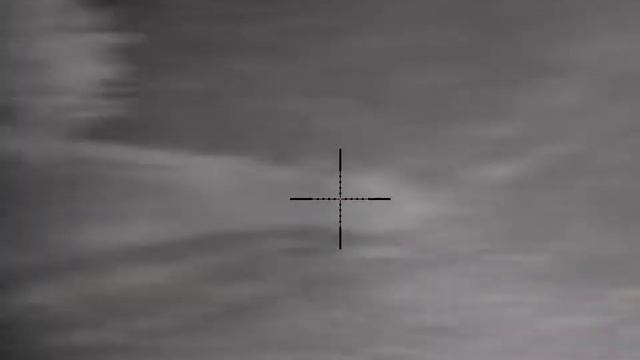 Pulsar digex n450 lisice fox volpe--udaljenost distanca, distance 200+m смотреть онлайн