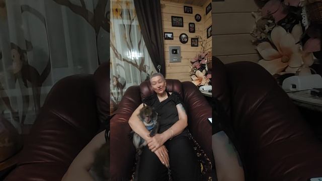 Monkey Home в прямом эфире!