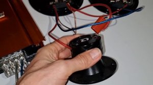 как подключить два динамика и твитер к одному каналу усилителя