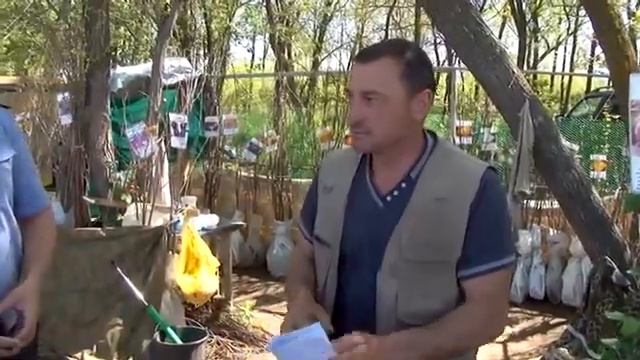 О рейдах Россельхознадзора по контролю реализации посадочного материала смотреть онлайн