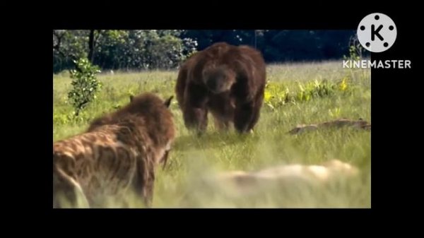 Smilodon VS Megatherium