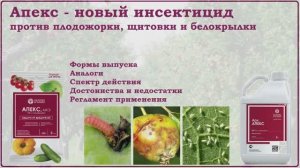 Апекс - новое средство от белокрылки, плодожорки и щитовки с уникальным действующим веществом. Обзор