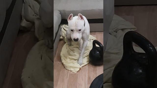 а что это за парень 😎 смотреть онлайн