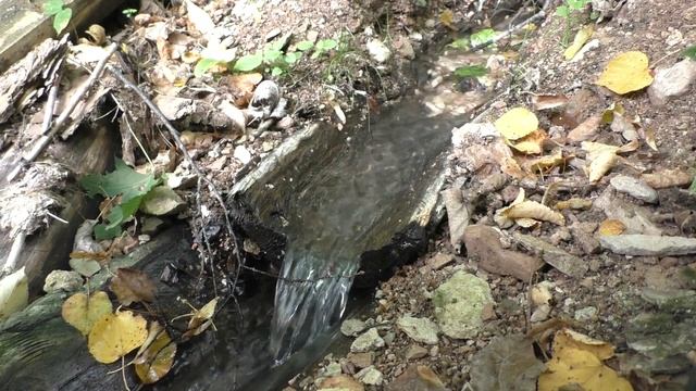 Дивеево Марийского края. Фильм о храме святителя Гурия Казанского смотреть онлайн