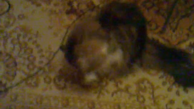 Маршалл под мухой смотреть онлайн