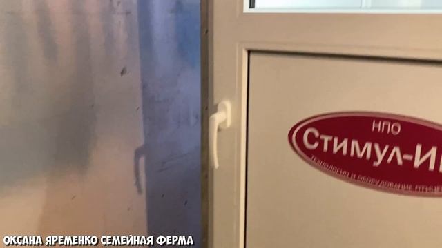 Инкубация бройлера РОСС308 / переложила в инкубатор Стимул МУ1000 / жду результат♀ смотреть онлайн