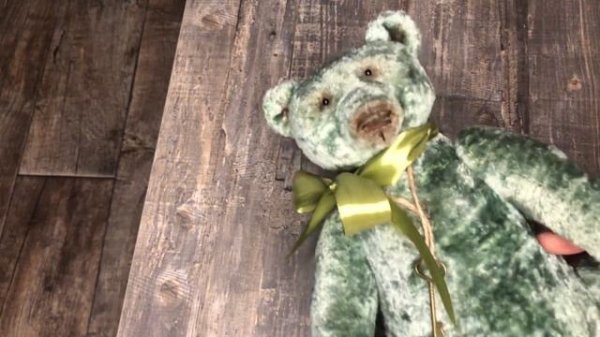 Медведь Тедди с ревуном(рычалкой)/teddy bear