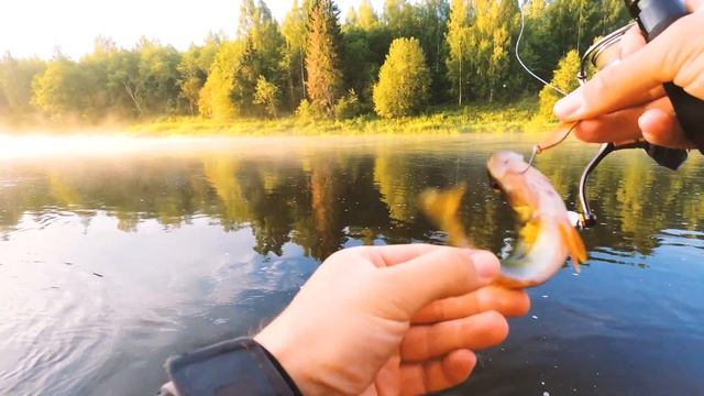 Торжество поверхностных приманок на быстрой речке