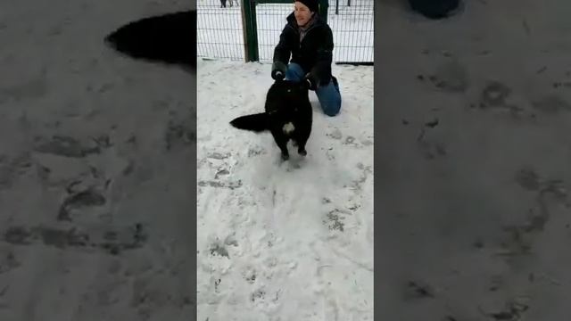 Муся-такая Муся🤗 смотреть онлайн