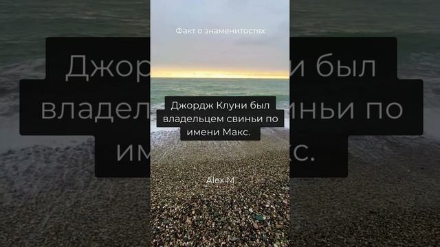 2 Факт о знаменитостях смотреть онлайн