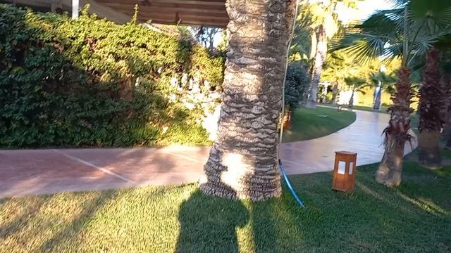 Турция Selectum Family Resort Belek 5 Вечерний отель