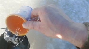 Засидка на болоте для охоты на гуся.