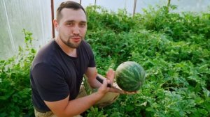 ГОД ПРОЖИТЫЙ НА ЗАИМКЕ | ФИЛЬМ О ДЕРЕВНЕ