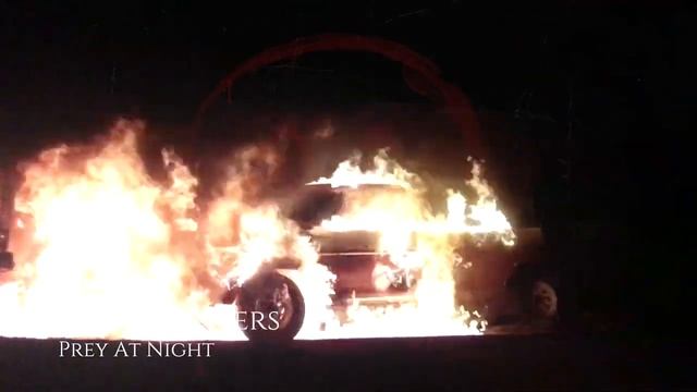 The stranger prey at night tuck on fire смотреть онлайн