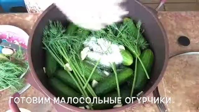 Очень вкусные малосольные огурчики от Irina ja советую приготовить смотреть онлайн