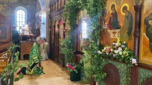 Коленопреклоненные молитвы на Троицу