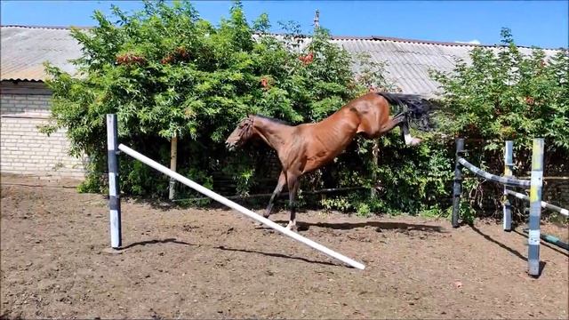 прыжки смотреть онлайн