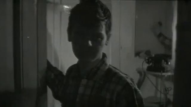 Когда разводят мосты (1962)