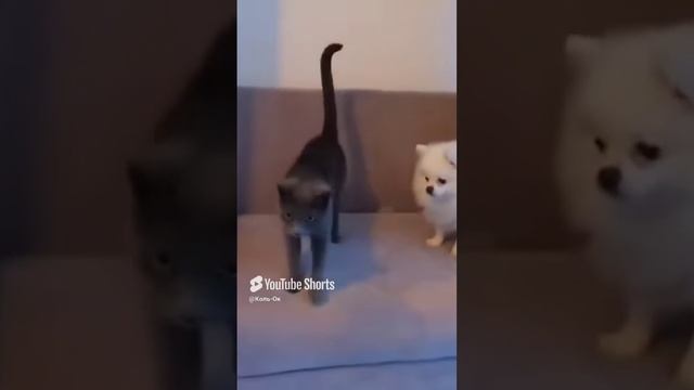 КОЛЬ-ОК (27) смотреть онлайн