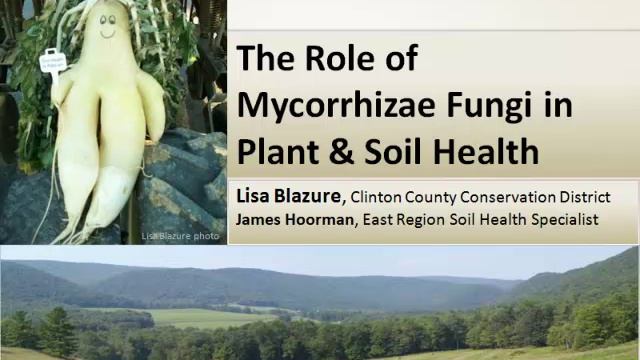 Jay Brandt; Jim Hoorman - How Cover Crop Mixtures Enhance Mycorrhizae Colonization смотреть онлайн
