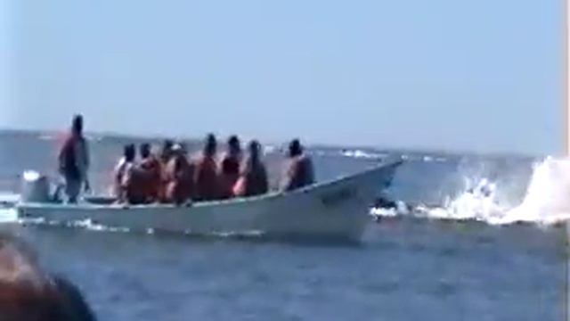 sandbar whale смотреть онлайн