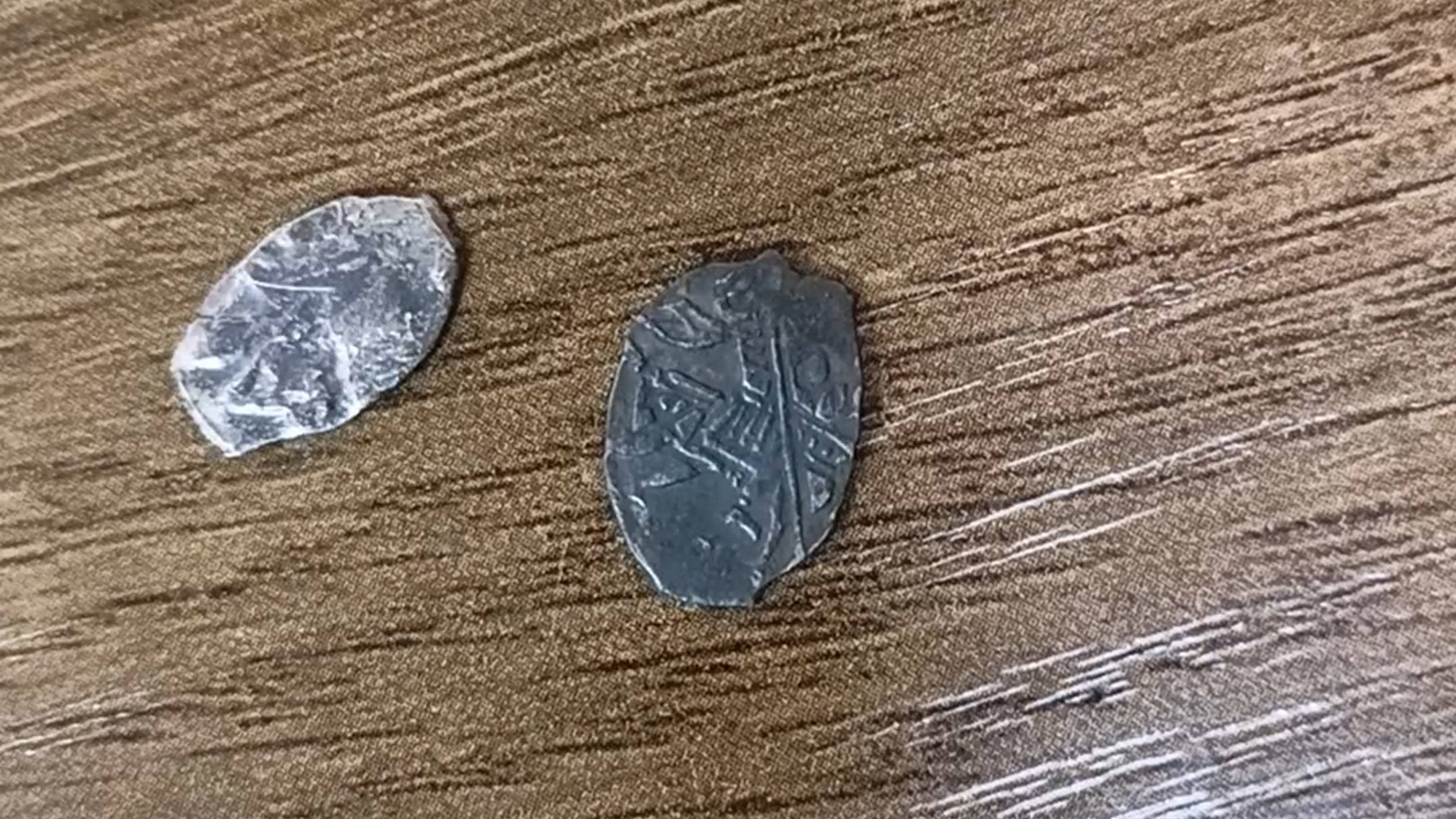 Старинная чешуя (серебряная).