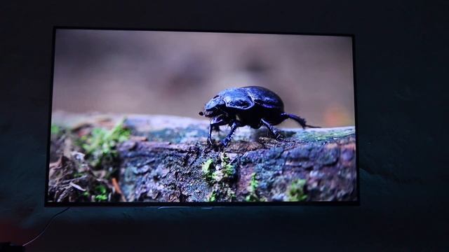 Acer Boundless Series 50 inch 4K UHD TV Unboxing and Review | TV смотреть онлайн