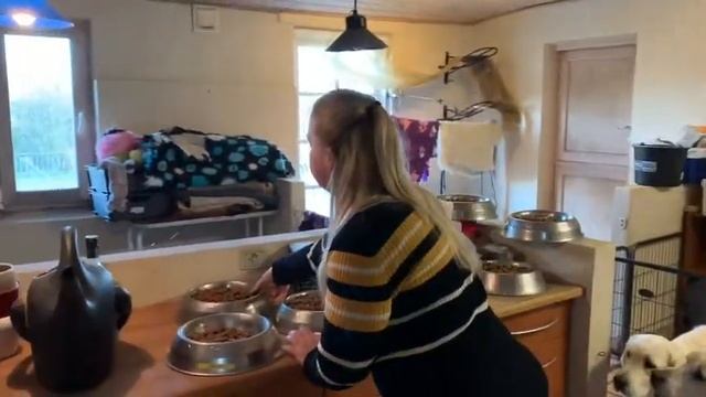 mors vlog, del 3 смотреть онлайн
