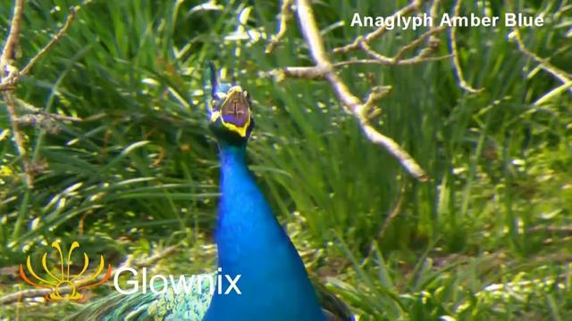Glownix sterio Anaglyph Amber Blue смотреть онлайн