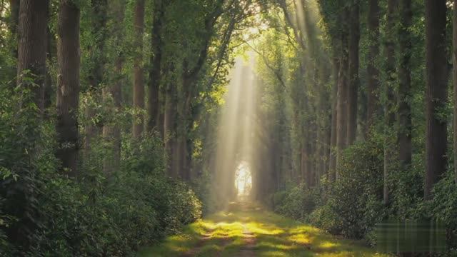 Vangelis with Montserrat Caballye & Montserrat Marti - Prayer смотреть онлайн