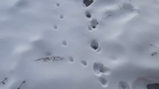 Шепоток на блага! смотреть онлайн