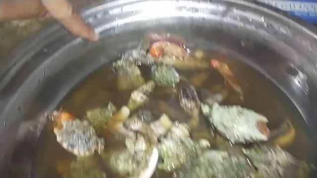 Marami rami din pala nahuli namin mga Boss kaya libre na sa pang Ulam ang huli namin sa Panulo🤗❤️ смотреть онлайн