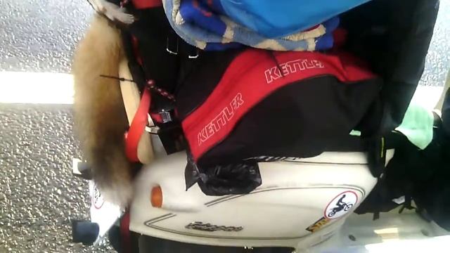 Мототур, Мск-СПБ. смотреть онлайн