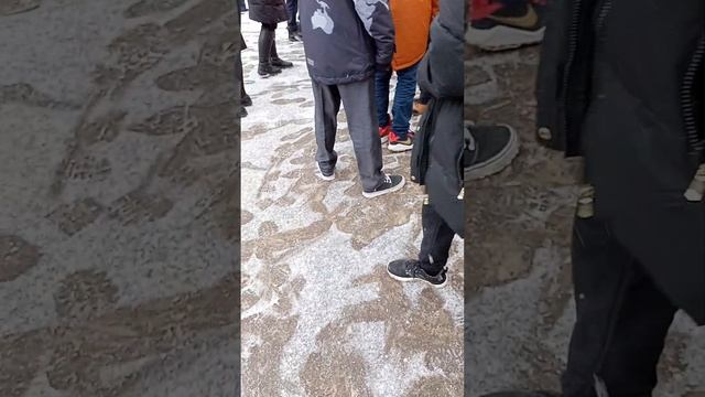 #школа горит смотреть онлайн