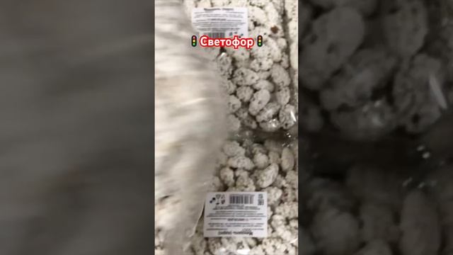 Вот Это Завоз💥Продукты В Светофоре 📣😳🔥 новинки #светофоробзор #маякобзор #магазинсветофор смотреть онлайн