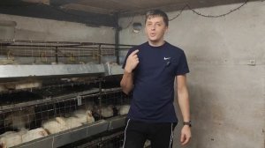 Куда продавать бройлера? Личный опыт сбыта