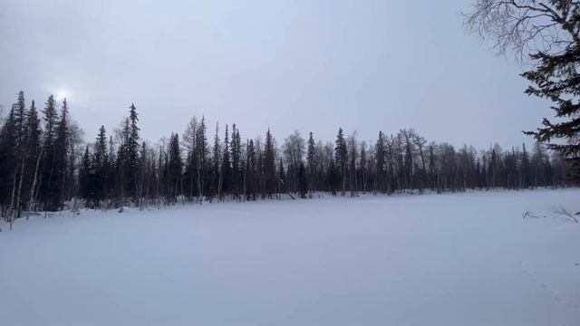 По следам неуловимой куропатки… Сезон 2022-2023 смотреть онлайн