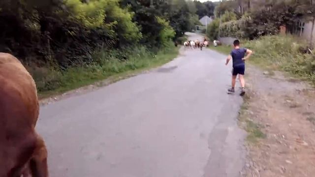 лагерь 2017 Карпаты утро кросс... смотреть онлайн