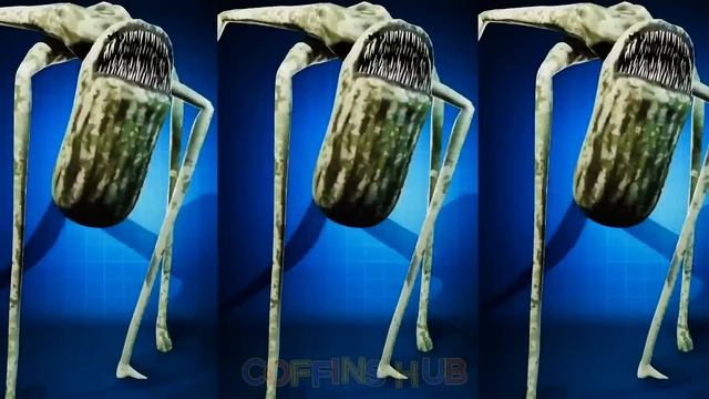 Zoonomaly | Characters | Coffin Dance Song (Cover) #coffindance