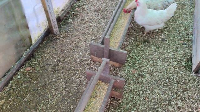 Умные подруги