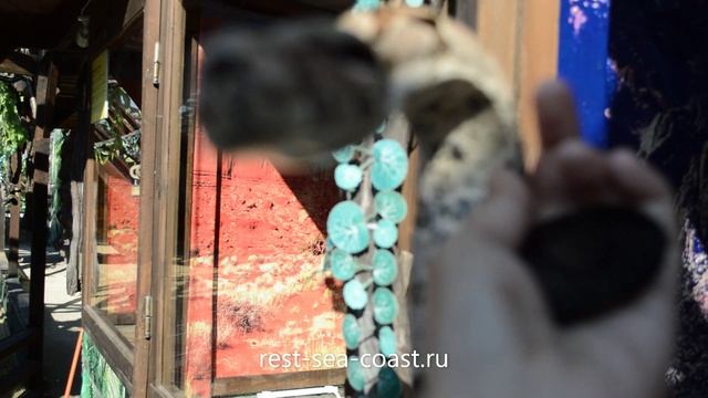 Питоны и удавы в контактном парке Голубицкой смотреть онлайн