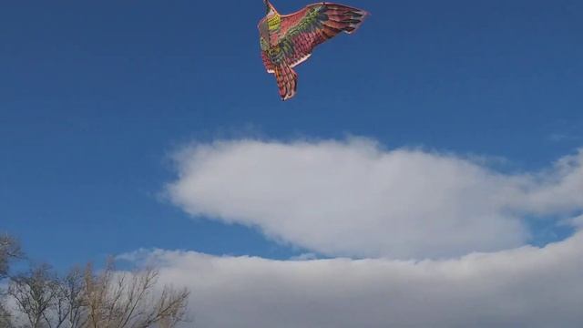 Летающий змей на пляже зима река 20220219 151818 смотреть онлайн